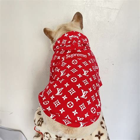 louis vuitton dog hoodie red